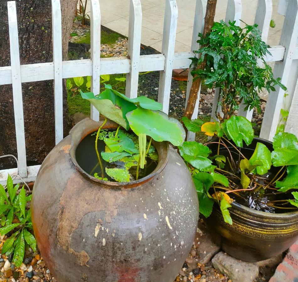 Lotus Corner - Heritage B&B Luangprabang Kültér fotó